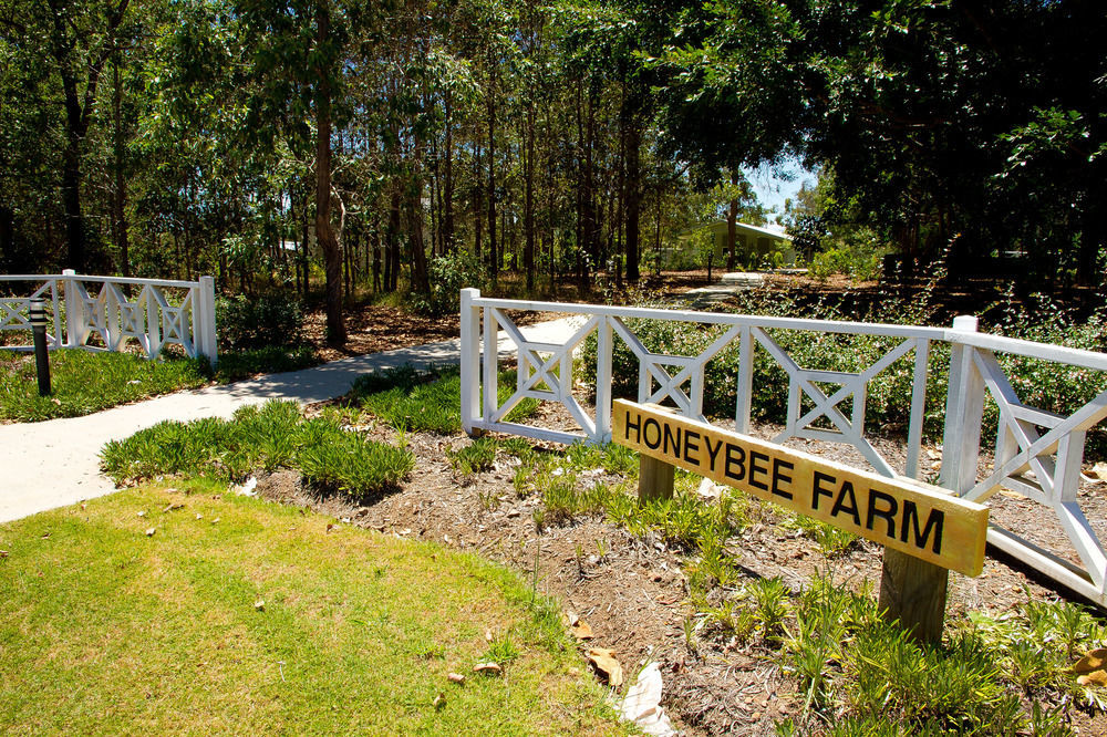 Honeybee Wellness Resort Kandanga Экстерьер фото